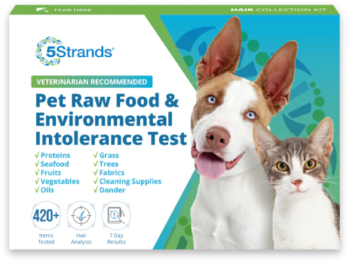 5 Strands Raw Food and Environmental Intolerance Test